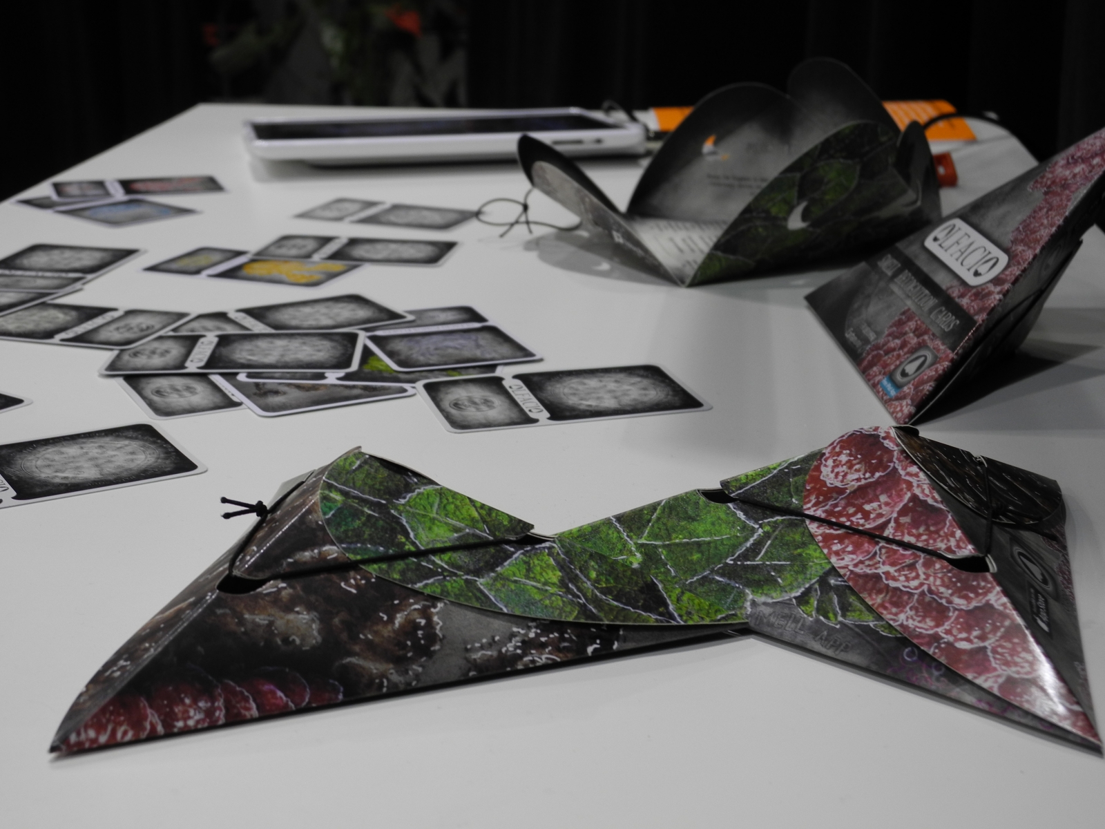 resultaat project Cartamundi en Peter De Cupere