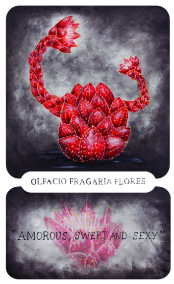 speelkaarten Cartamundi