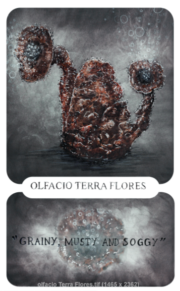 speelkaarten project cartamundi